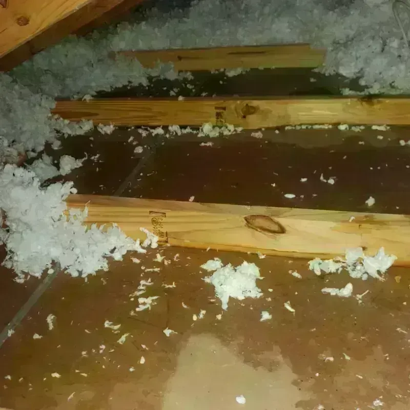 Attic Water Damage in Marshall County, AL