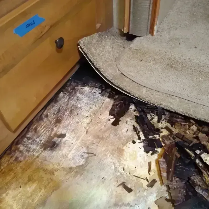 Best Wood Floor Water Damage Service in Marshall County, AL